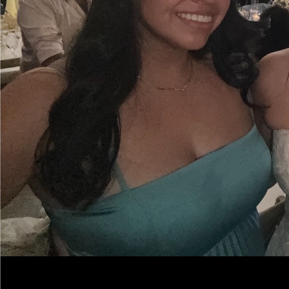 A&F Giselle Clasp-Back Pleated Midi Dress. (Size Large Tall) - Picture 8 of 8